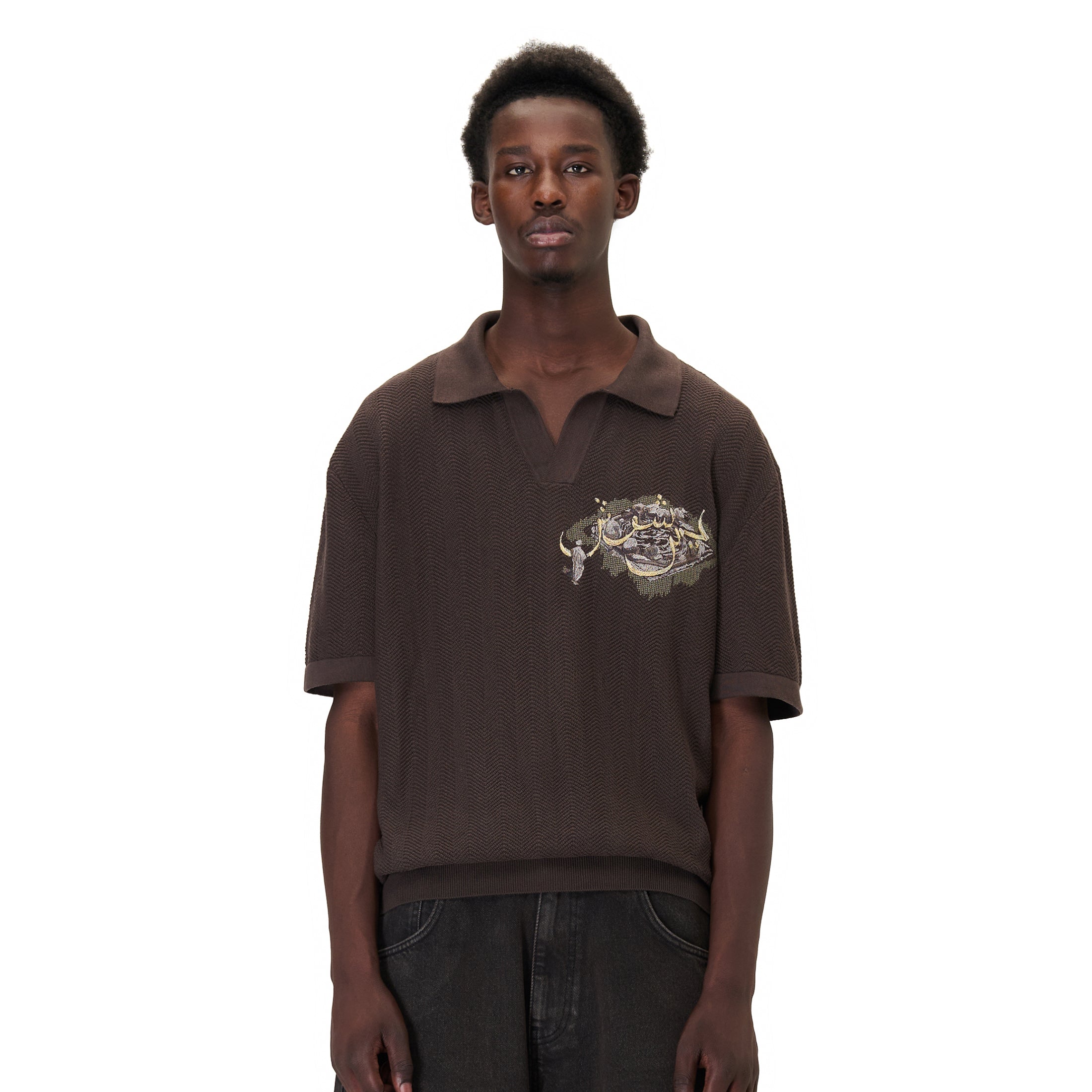 "aziza" polo Knit brown